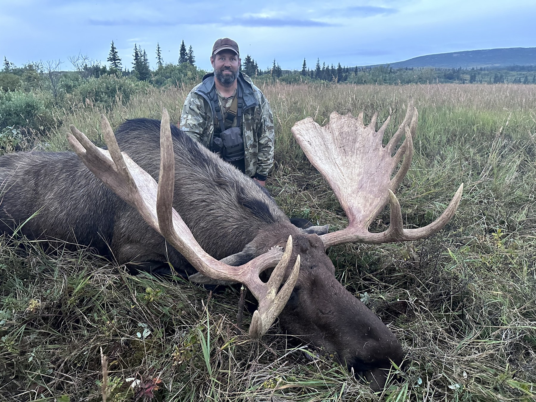 Alaska moose hunt in remote tundra country