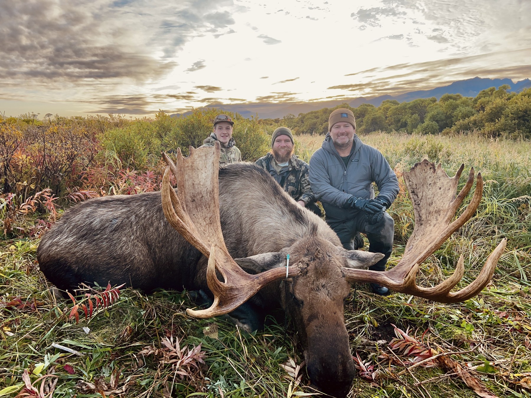 Alaska moose hunt