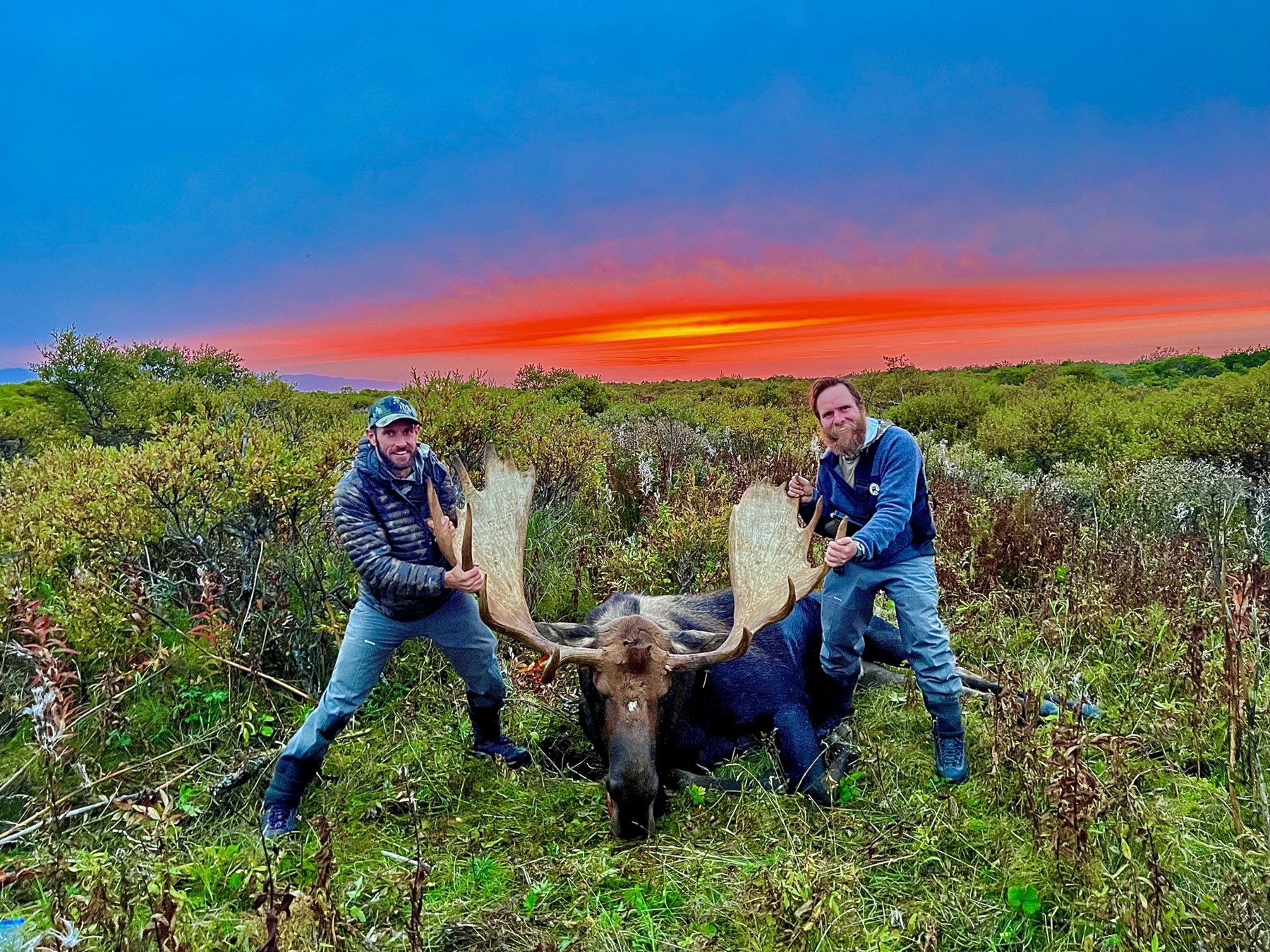 Moose country at sunset