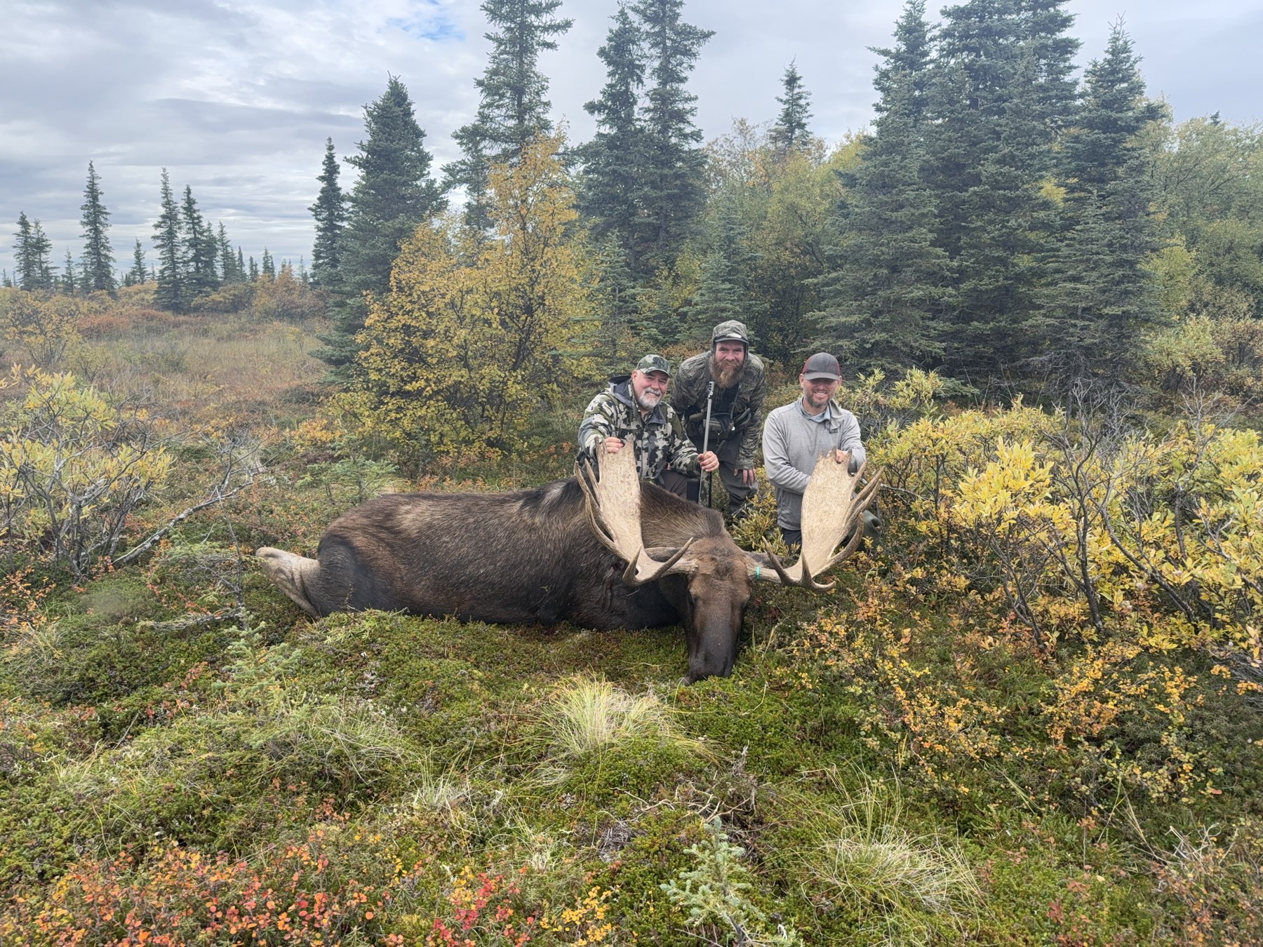 Remote moose country