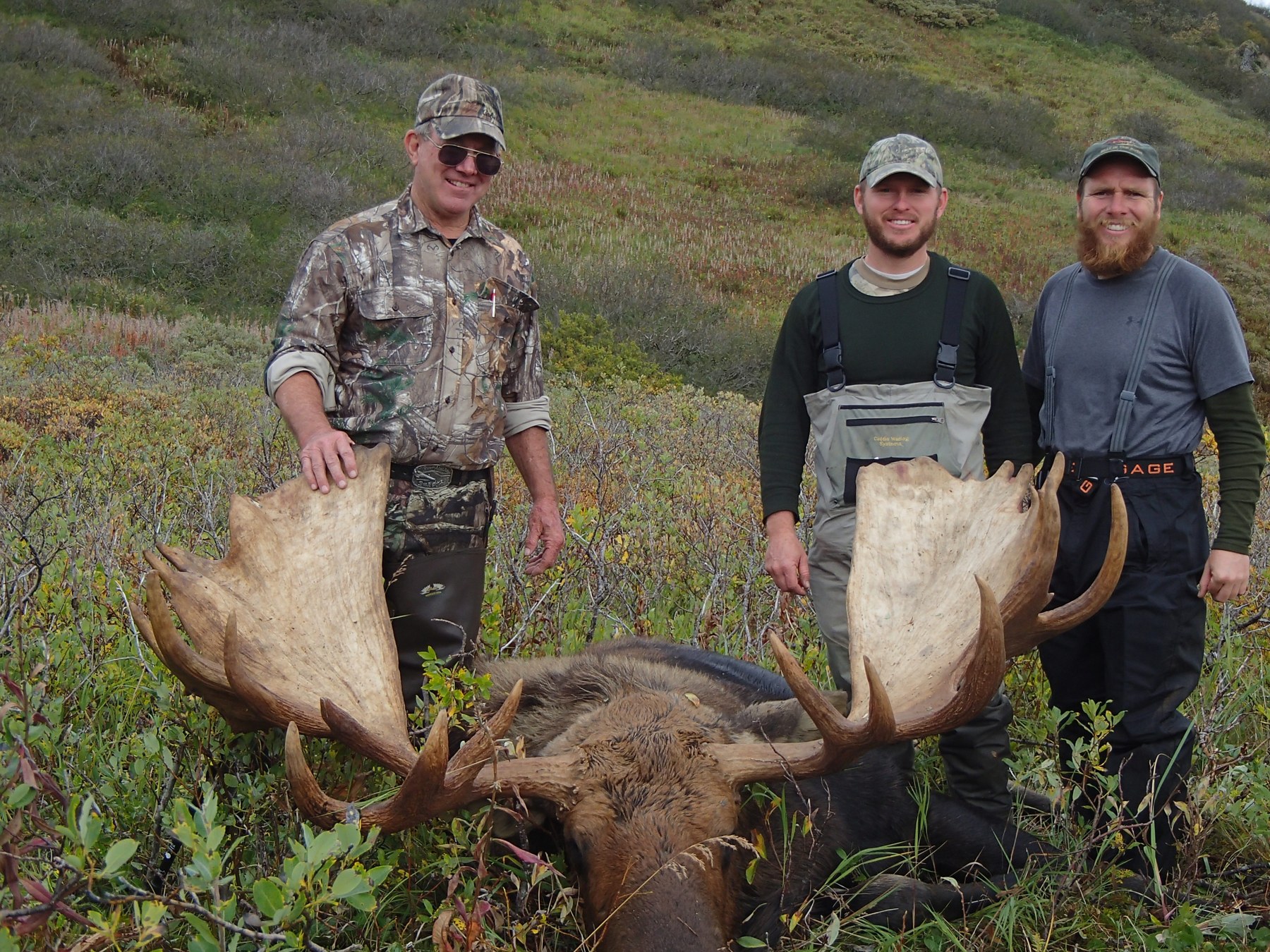 Alaska moose group photo